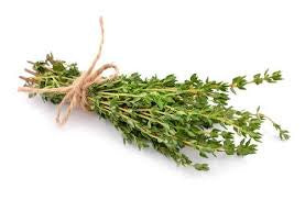Thyme Bunch