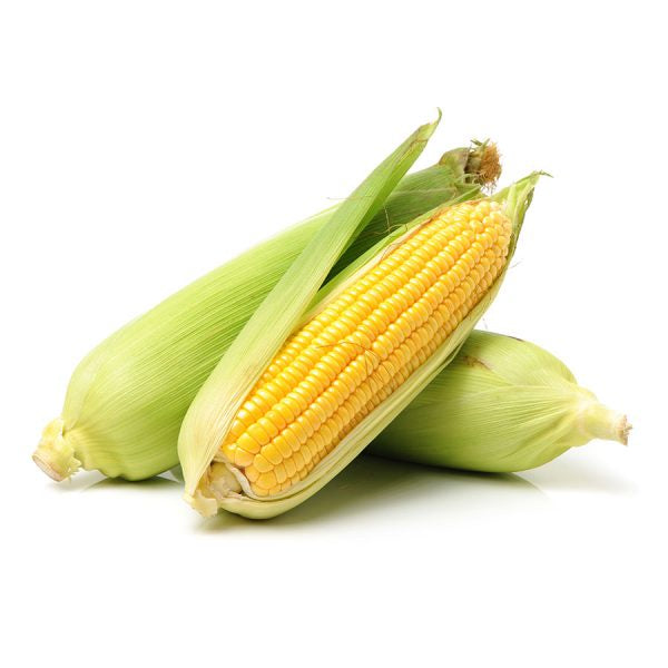 Corn Cob - each