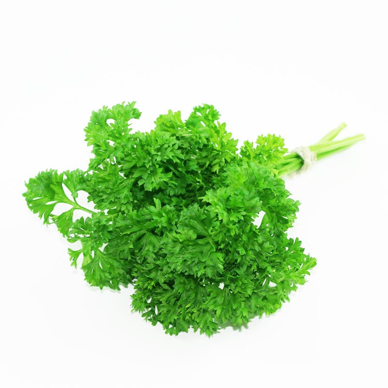 Parsley Bunch - Curly